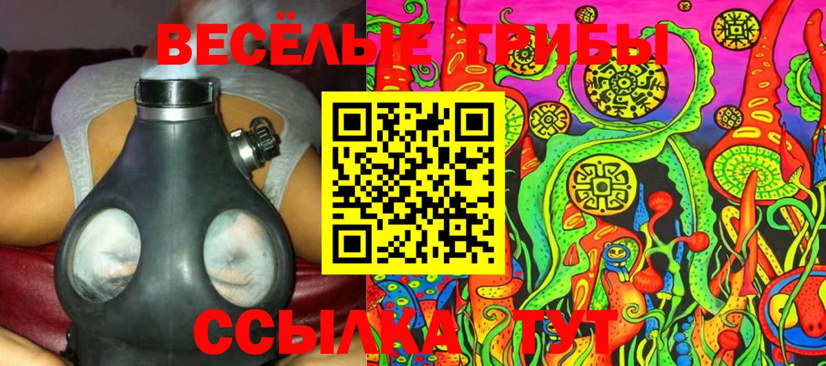 Галлюциногенные грибы Psilocybe Грозный