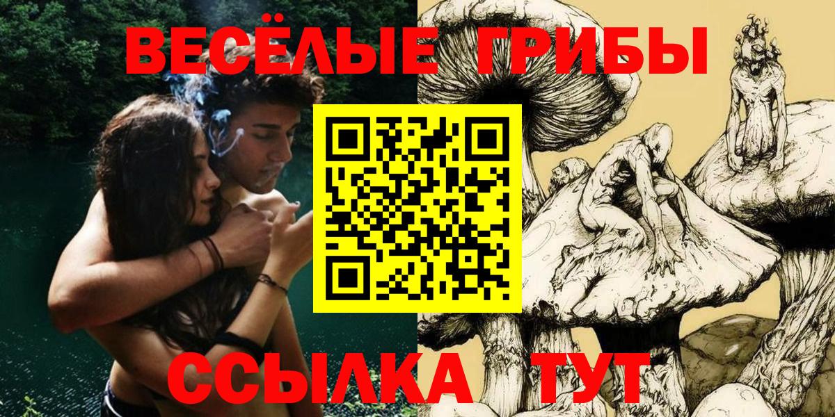дарнет шоп  Галлюциногенные грибы ЛСД  Вход с VPN  Грозный 